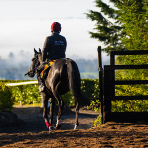 Meet the Team - JP O'Brien Racing
